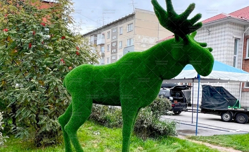 Лось большой