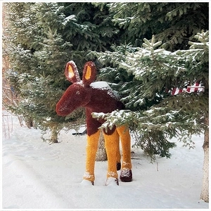 ЛОСЁНОК цветной