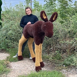 ЛОСЁНОК цветной