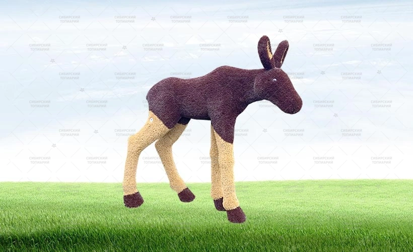 ЛОСЁНОК цветной