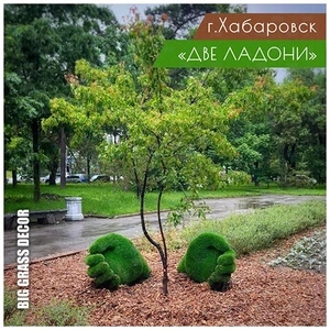 ЛАДОНИ маленькие