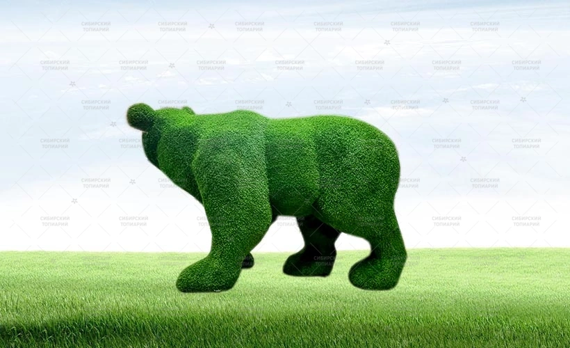 МЕДВЕДЬ ХОЗЯИН ТАЙГИ