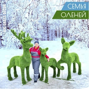 Семья оленей