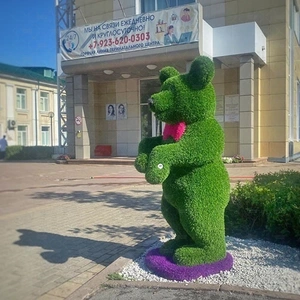 МЕДВЕЖОНОК на задних лапах